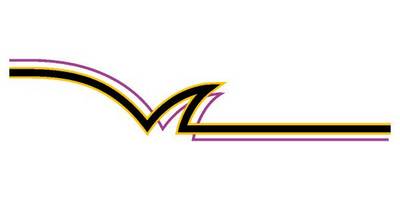 Виниловая наклейка на авто 252