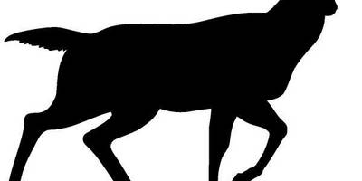 Животные 392