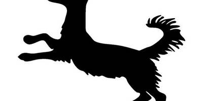 Животные 3997