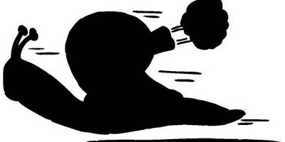 Животные 617