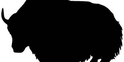 Животные 2380