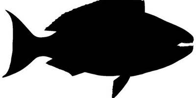 Животные 2229