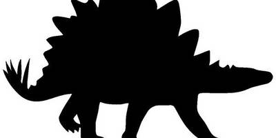 Животные 1703