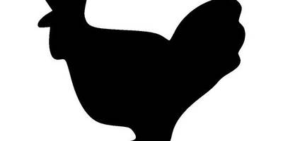 Животные 2499