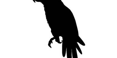 Животные 3313