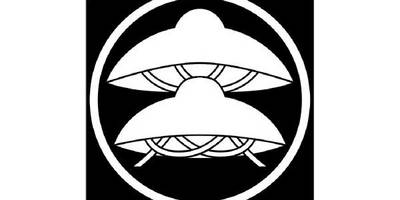 Японский узор 3020