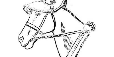 Животные 3811