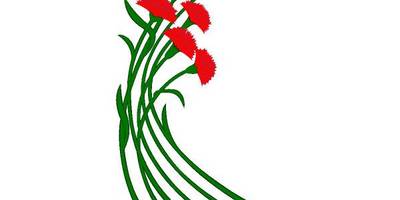 9 мая гвоздика 3