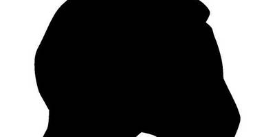 Животные 2003