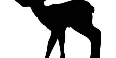 Животные 158