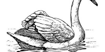 Животные 1132