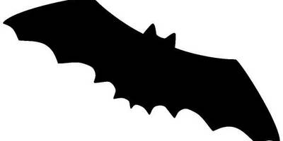 Животные 145