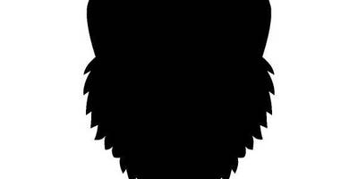 Животные 275