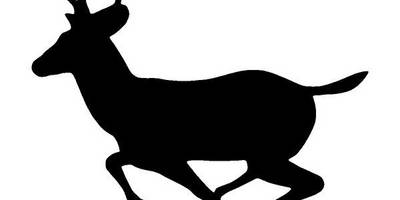 Животные 2580