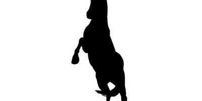 Животные 3199