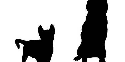 Животные 3408