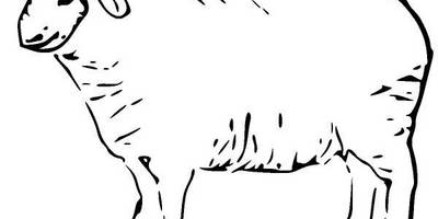 Животные 291