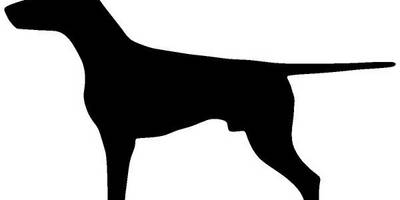 Животные 2738