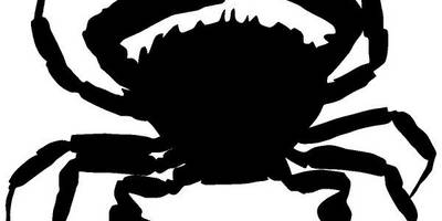 Животные 250