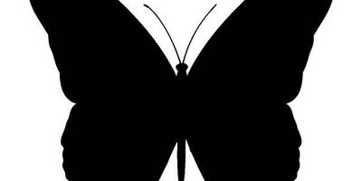 Животные 3085