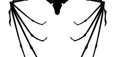 Животные 4026