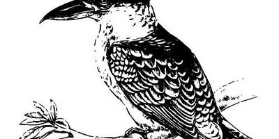 Животные 2796