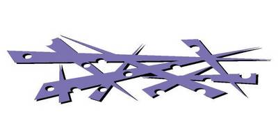 Виниловая наклейка на авто 216