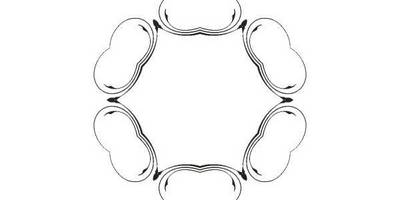 Орнамент цветы 21