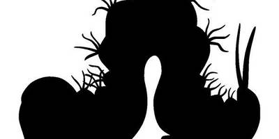 Животные 2488