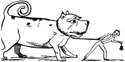 Животные 3435