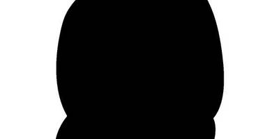 Животные 3166