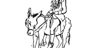 Животные 2749