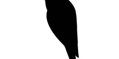 Животные 3676