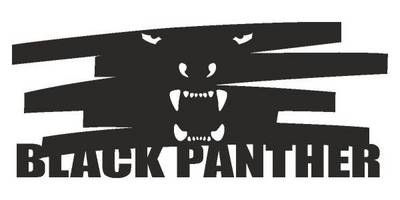 Виниловая наклейка на авто 362