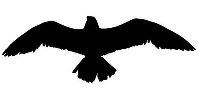 Животные 4249