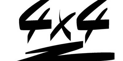 Виниловая наклейка на авто 15