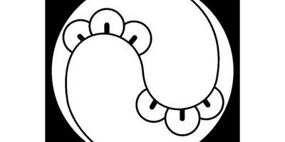 Японский узор 809