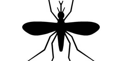 Животные 1374