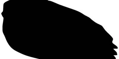 Животные 2082