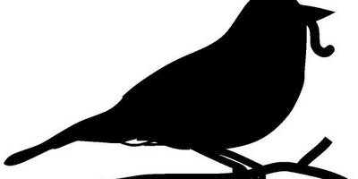 Животные 1616