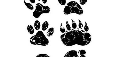 Животные 4076