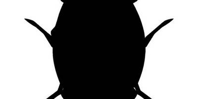 Животные 3054