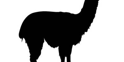 Животные 671