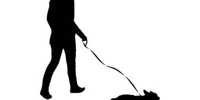 Животные 3673