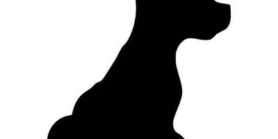 Животные 232