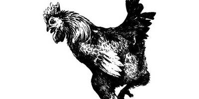 Животные 3708