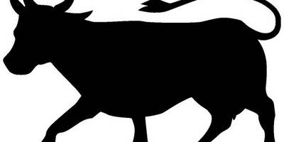 Животные 3663