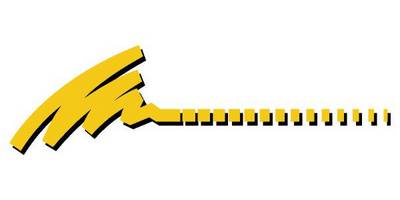 Виниловая наклейка на авто 250