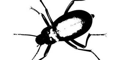 Животные 511