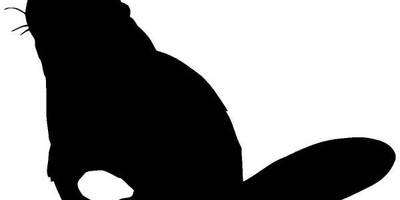 Животные 219